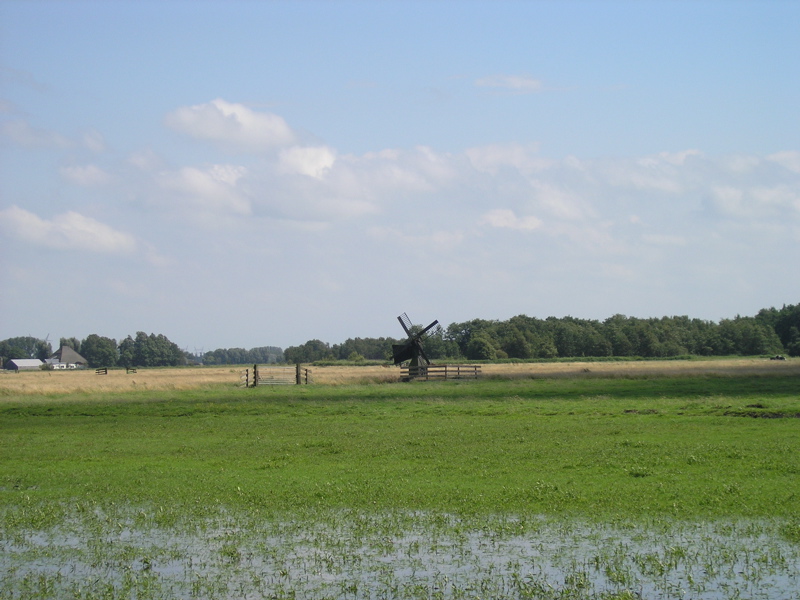 P7010064.JPG