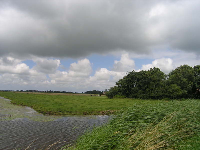 P7010034.JPG