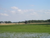 P7010064.JPG