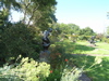 P7010080.JPG