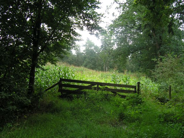 P8101752.JPG
