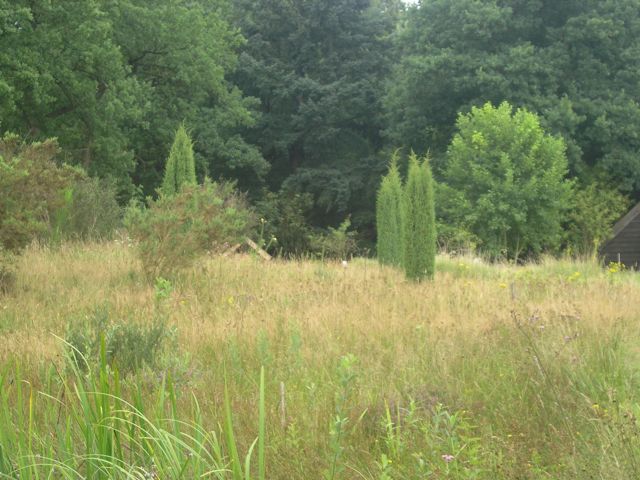 P8101772.JPG
