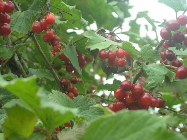 P8101774.JPG