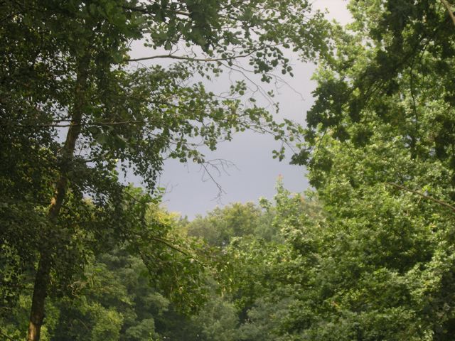 P8101779.JPG