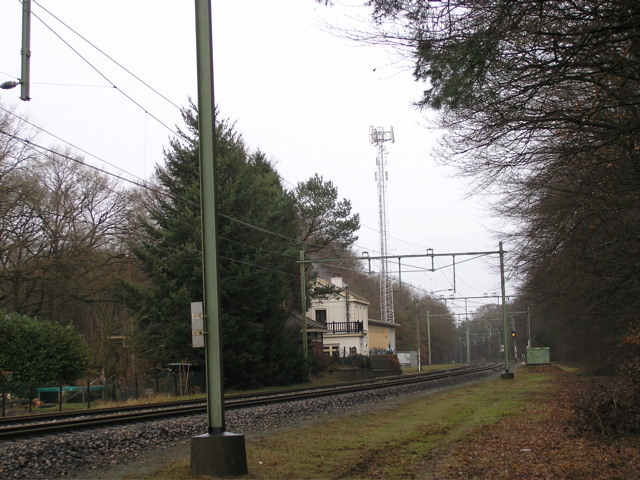 P2110061.JPG