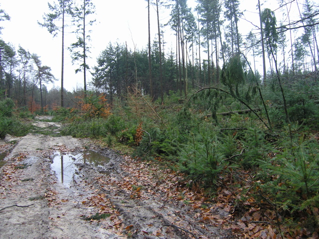P2110035.JPG