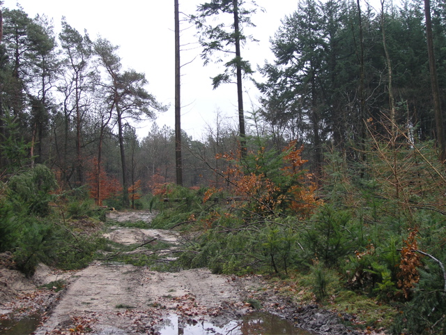 P2110036.JPG