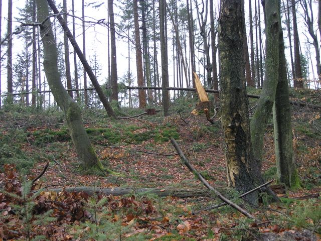 P2110037.JPG