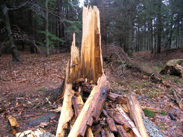 P2110041.JPG