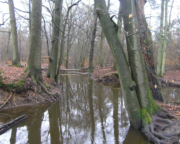 P2110047.JPG