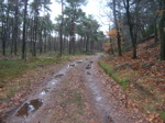 P2110030.JPG