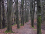 P2110056.JPG