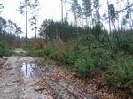 P2110035.JPG