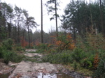 P2110036.JPG