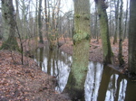 P2110046.JPG