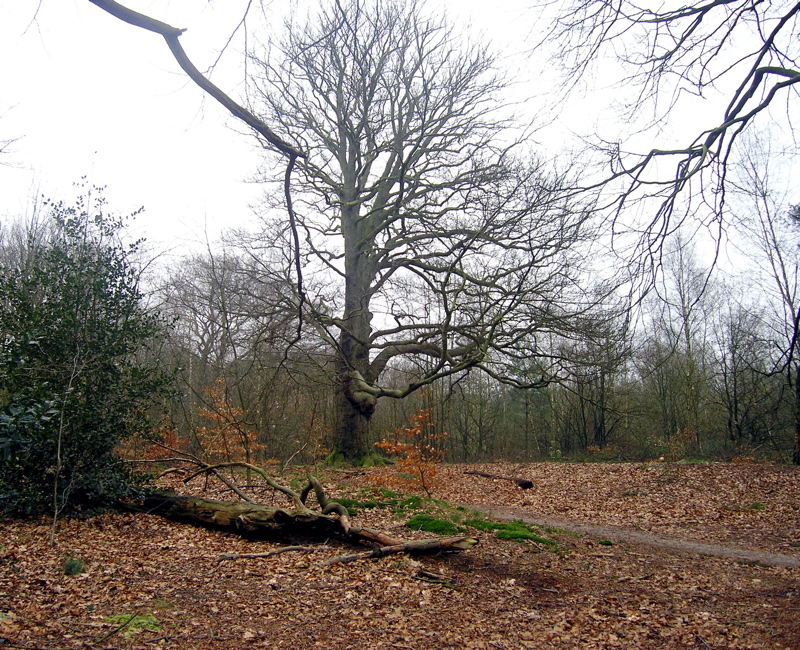 P3110038.JPG