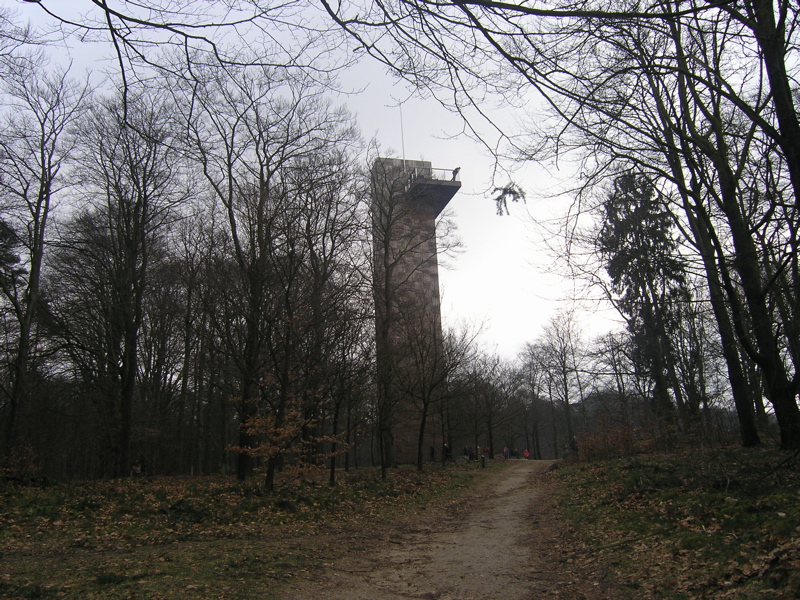 P3110048.JPG