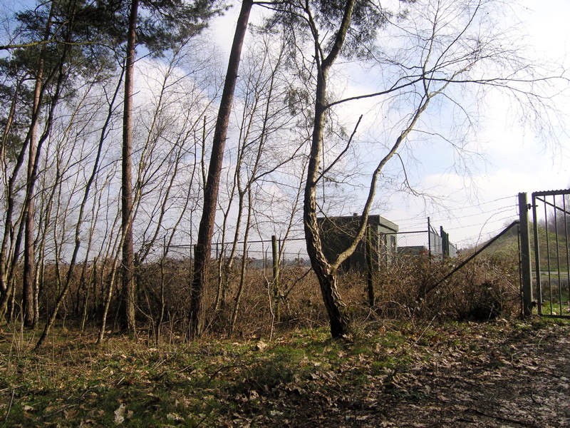 P3110053.JPG