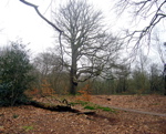 P3110038.JPG