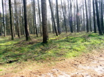 P3110063.JPG