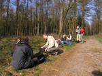 P3110064.JPG