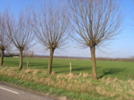 P3110078.JPG