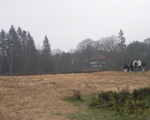 P3110040.JPG
