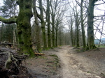 P3110044.JPG
