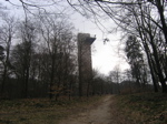P3110048.JPG