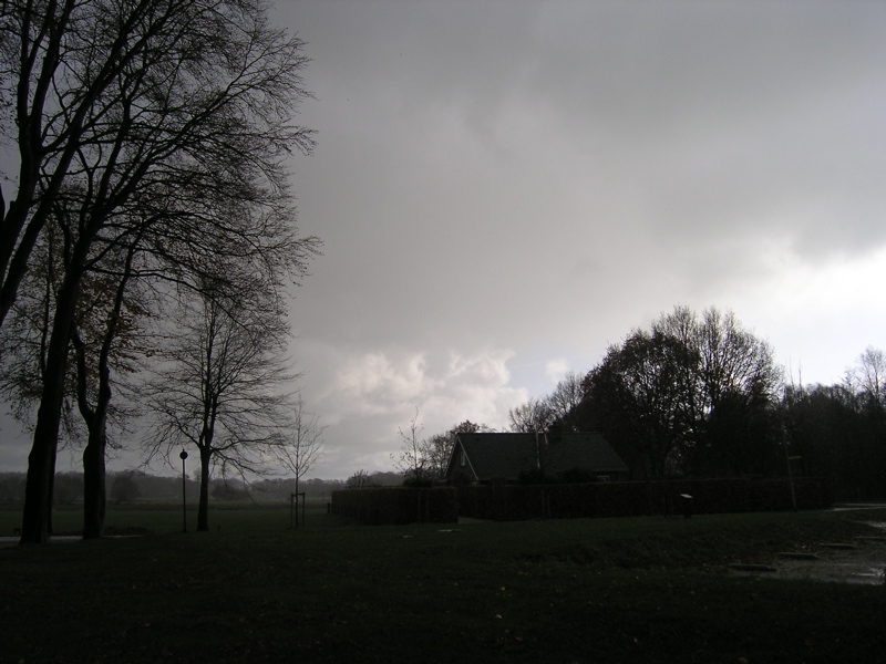 PB110116.JPG