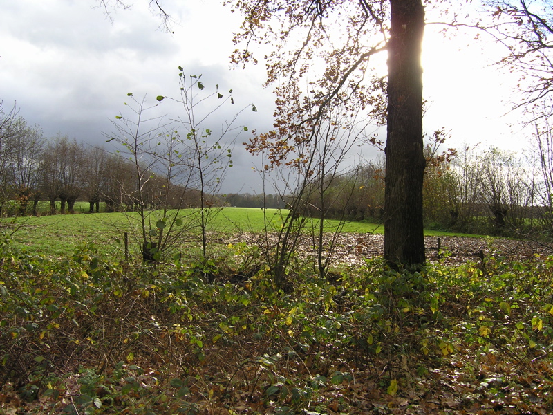 PB110119.JPG