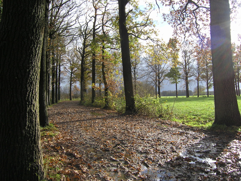 PB110120.JPG