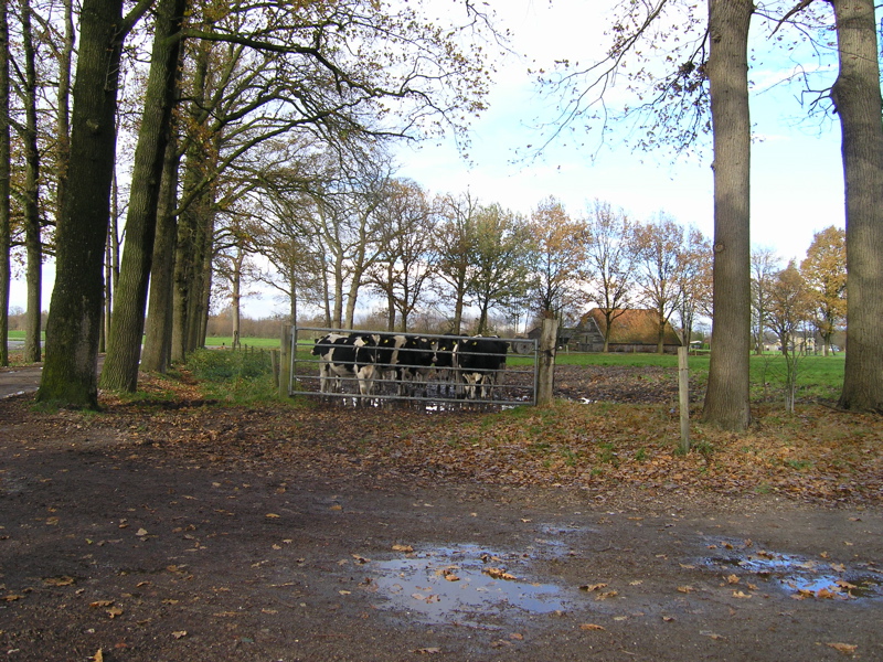 PB110129.JPG