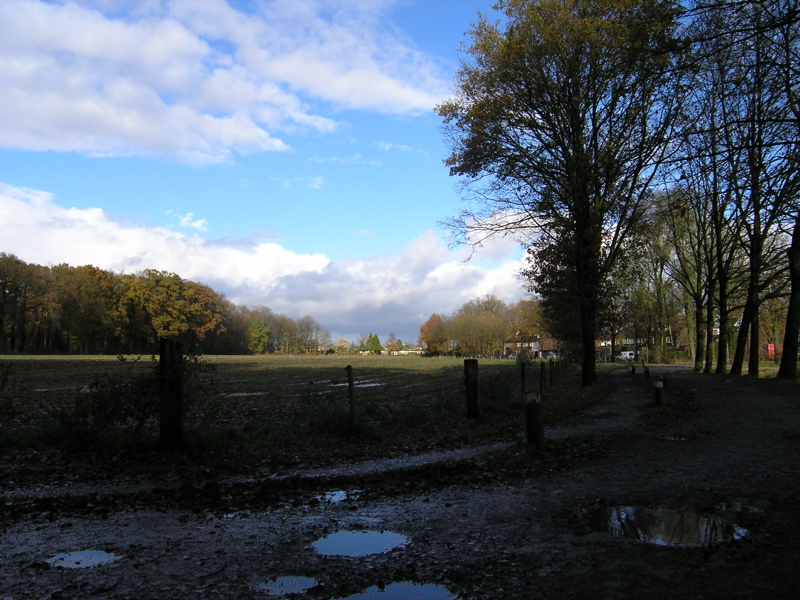 PB110134.JPG