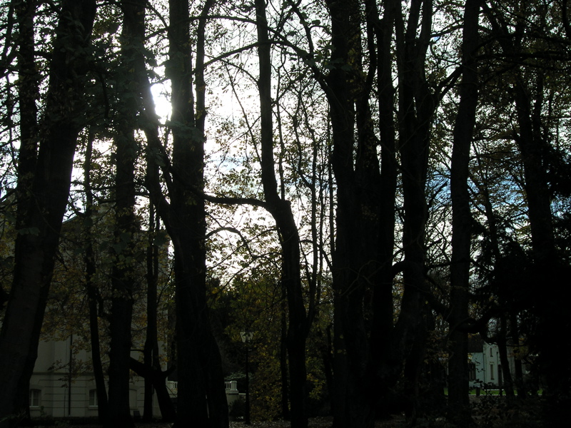 PB110144.JPG