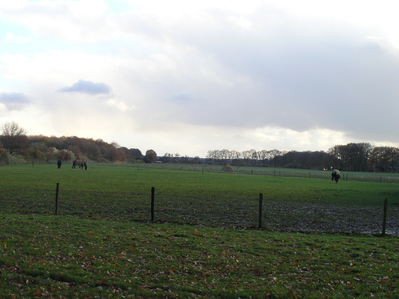 PB110172.JPG