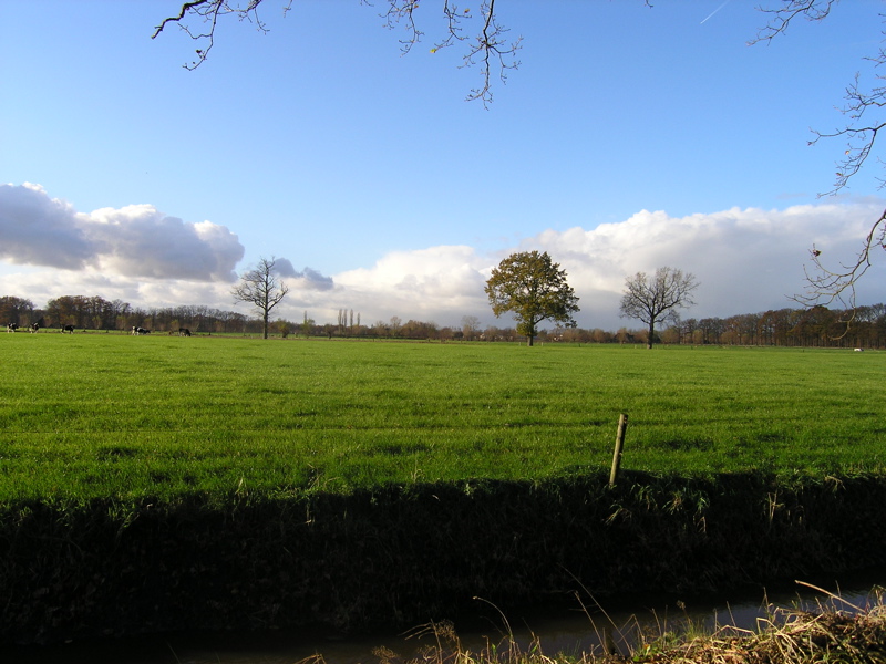 PB110177.JPG