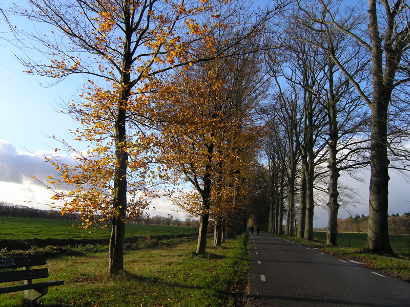 PB110185.JPG