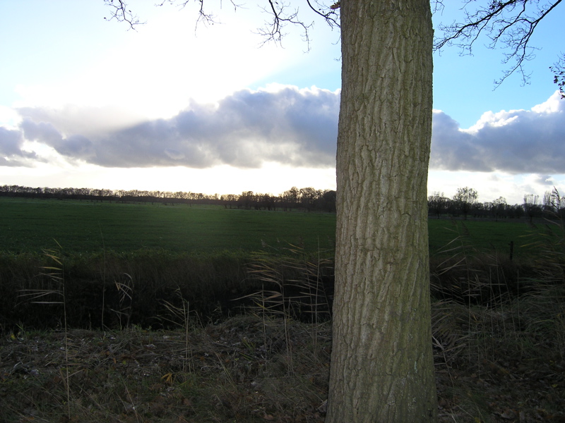 PB110187.JPG