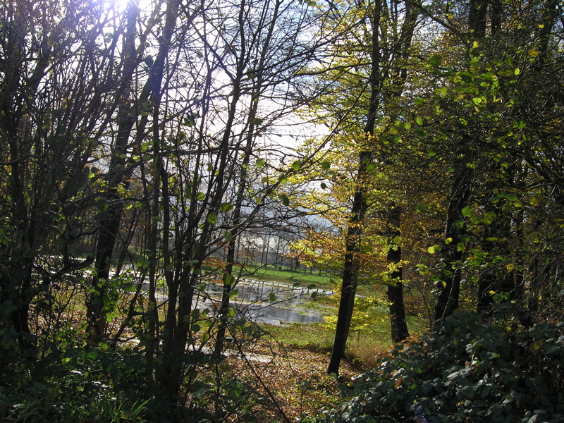 PB110087.JPG