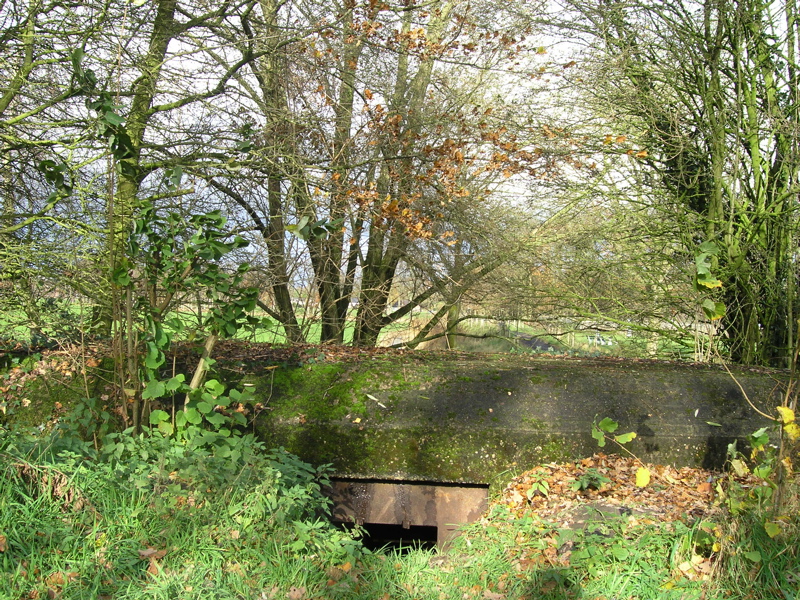 PB110092.JPG