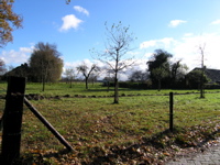 PB110059.JPG
