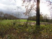PB110119.JPG