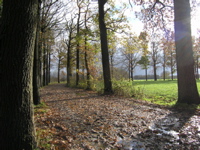PB110120.JPG