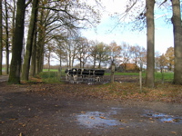 PB110129.JPG