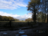 PB110134.JPG