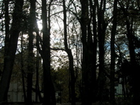 PB110144.JPG