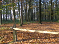 PB110171.JPG