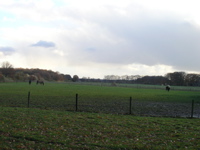 PB110172.JPG