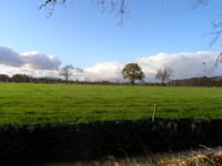 PB110177.JPG